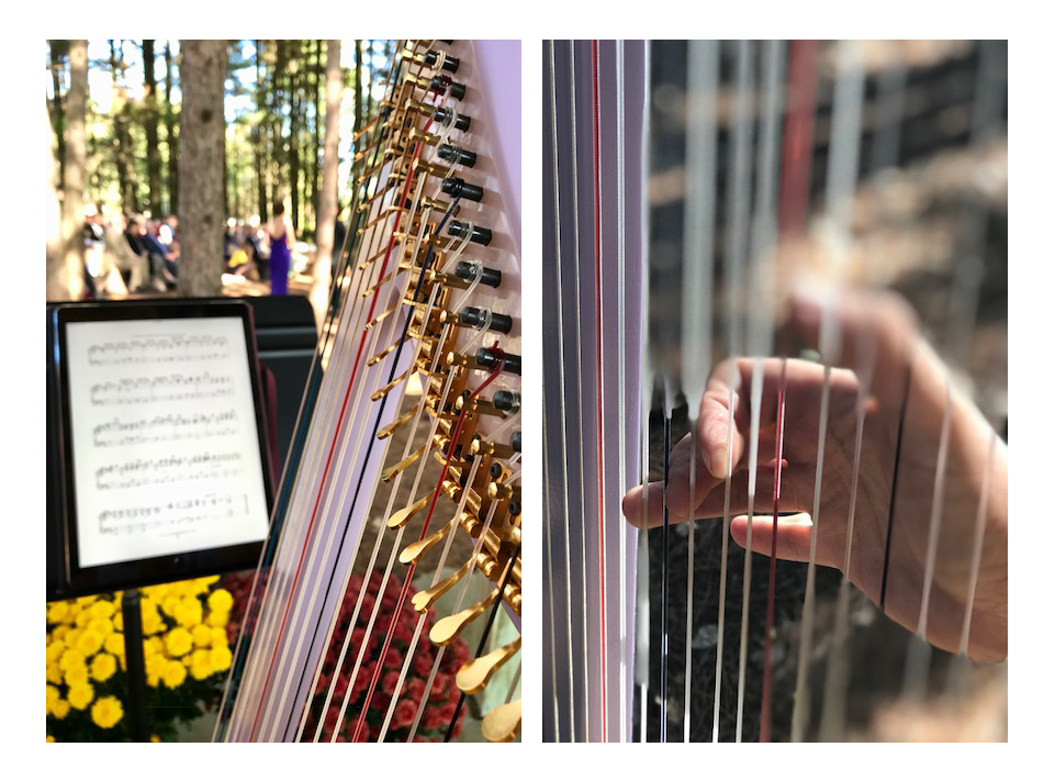 image: Harpist for Weddings, events, or any occasion